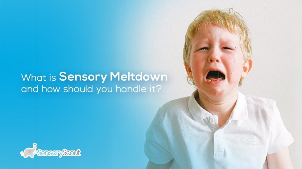 What Is a Sensory Meltdown, And How Should You Handle It?