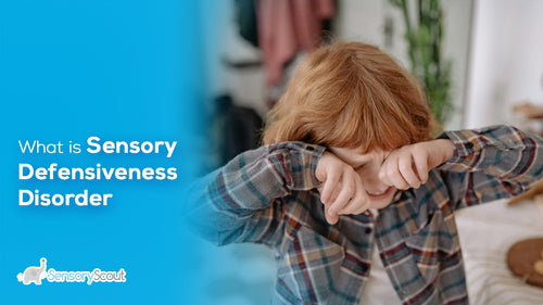 What is Sensory Defensiveness Disorder?