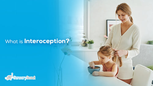 What is Interoception?