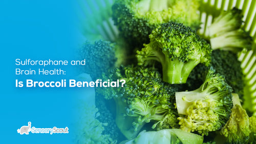 Sulforaphane and Brain Health: Is Broccoli Beneficial?